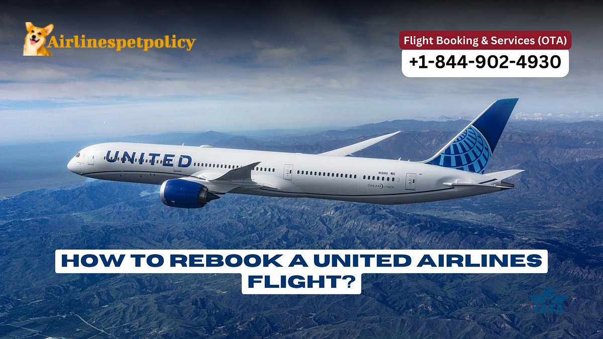 How to Rebook a United Airlines Flight? by Airlines pet policy Medium