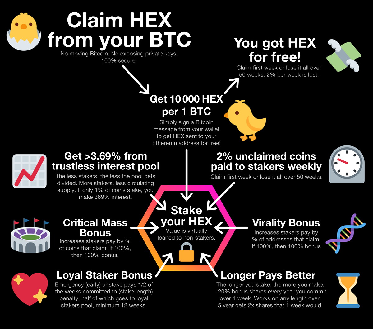 HEX — free money for every Bitcoin holder | by CryptoScout24 | Medium