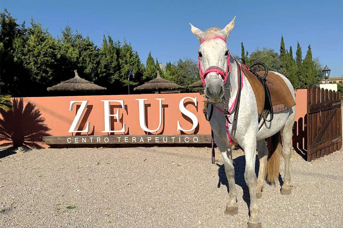Opiniones sobre Zeus Centro Terapéutico: cinco historias reales de recuperación