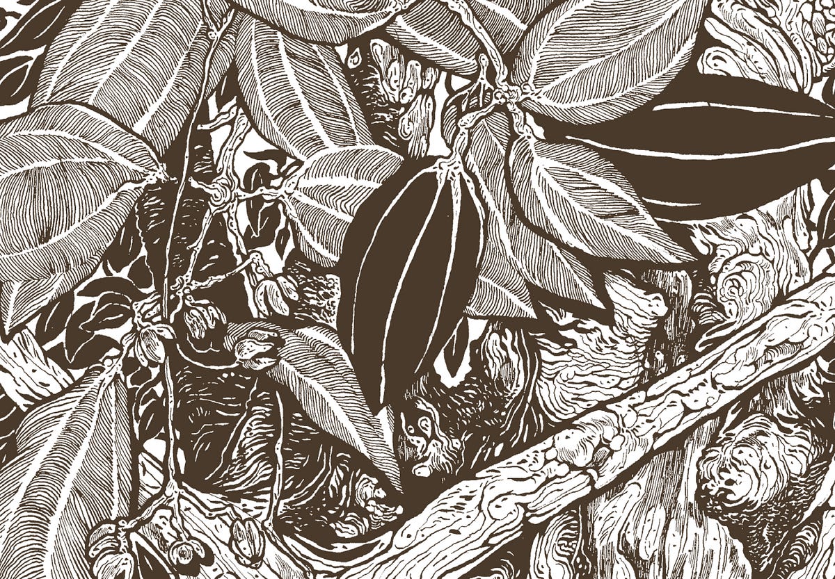 Designing a Forest. By Matthew Frame | by Tara Books | Medium