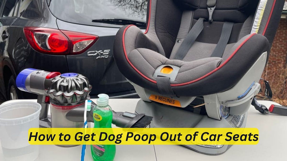 How to Get Dog Poop Out of Car Seats Ultimate Cleaning Guide by Car Individuals Jan, 2024