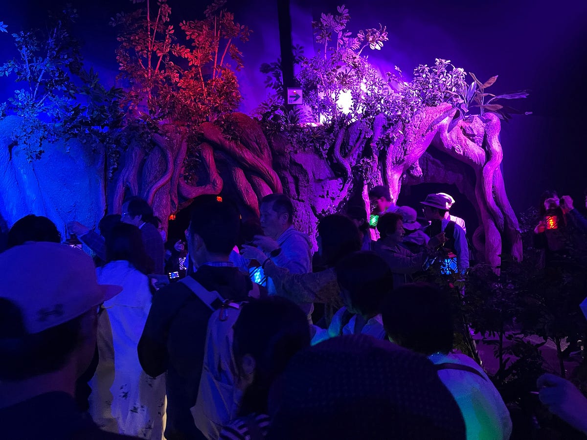 The Unknown Forest. Sumitomo Pavillion, Expo 2025 Osaka