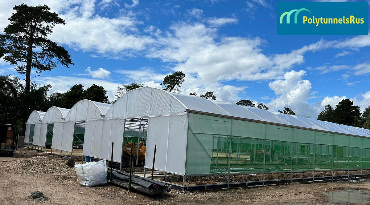 Evolution of Polytunnels A Journey of Size, Design, and Materials by Polytunnelsrus  Medium