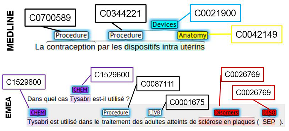 How to Train DrBERT on French Biomedical NamedEntity Recognition (NER