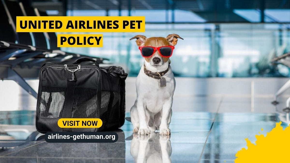 United Airlines Pet Policy. On most flights, the United Airlines… by