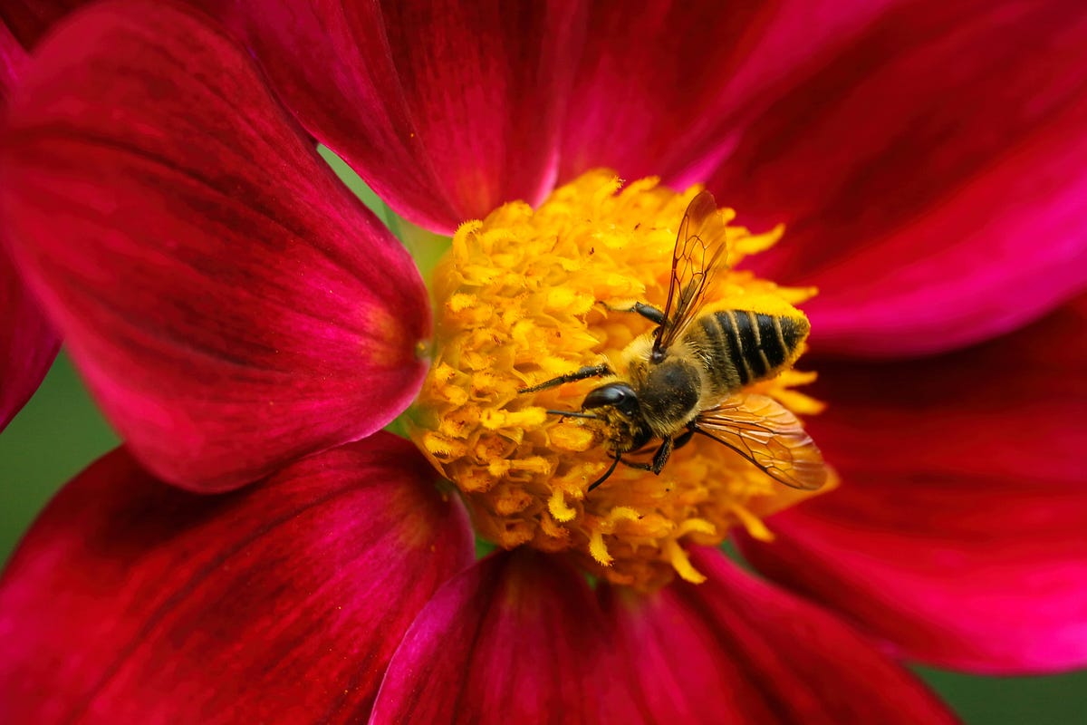 Make long sentences crystal clear The Writing Cooperative