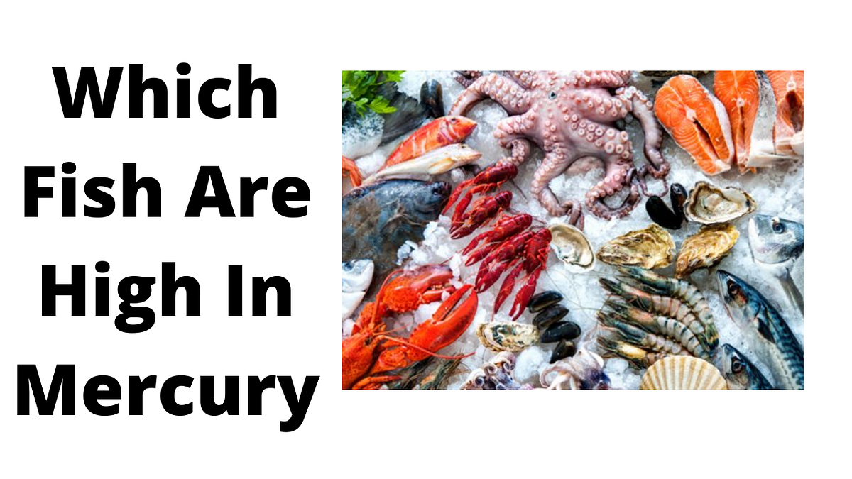Which Fish Are High In Mercury. Mercury is a naturally occurring… by