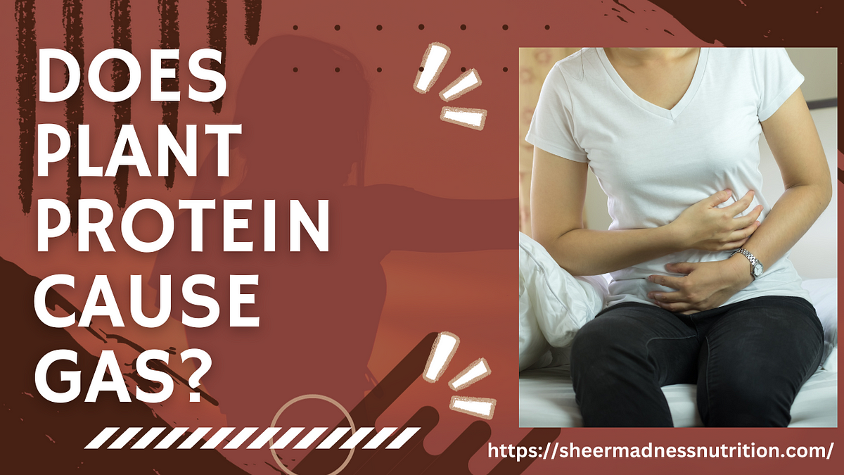Does Plant Protein Cause Gas?. Dive into the science does plant… by