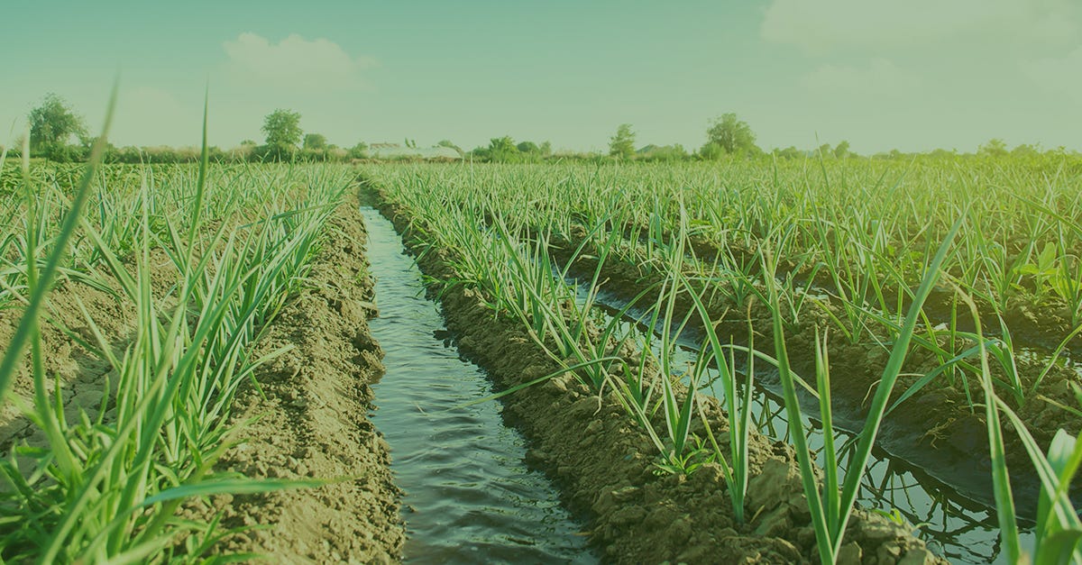 Importance of Water in Agriculture by Tractorkarvan Medium