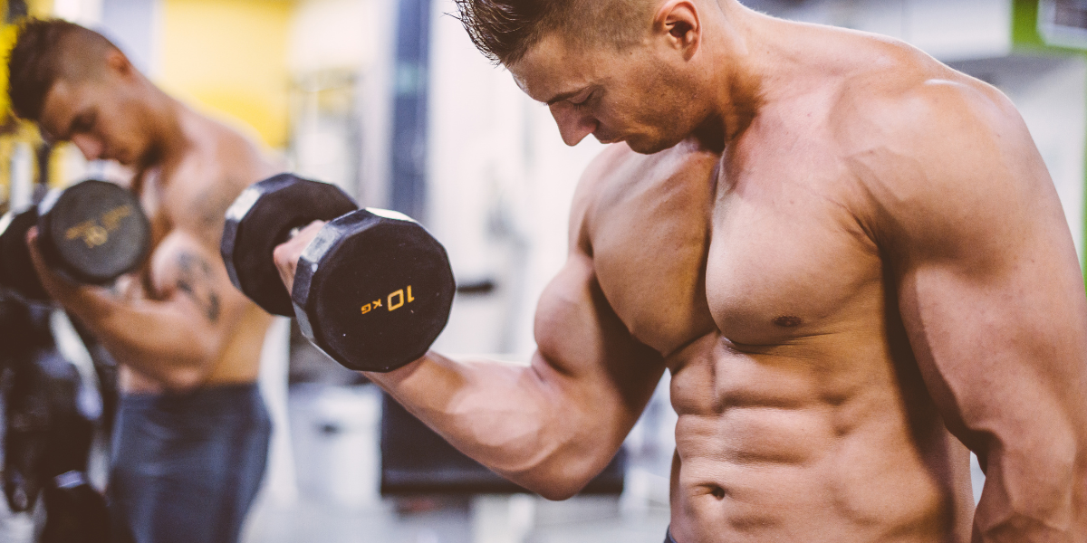 MK-677 Beginner Overview: Muscle Recovery, Sleep, and Growth Research