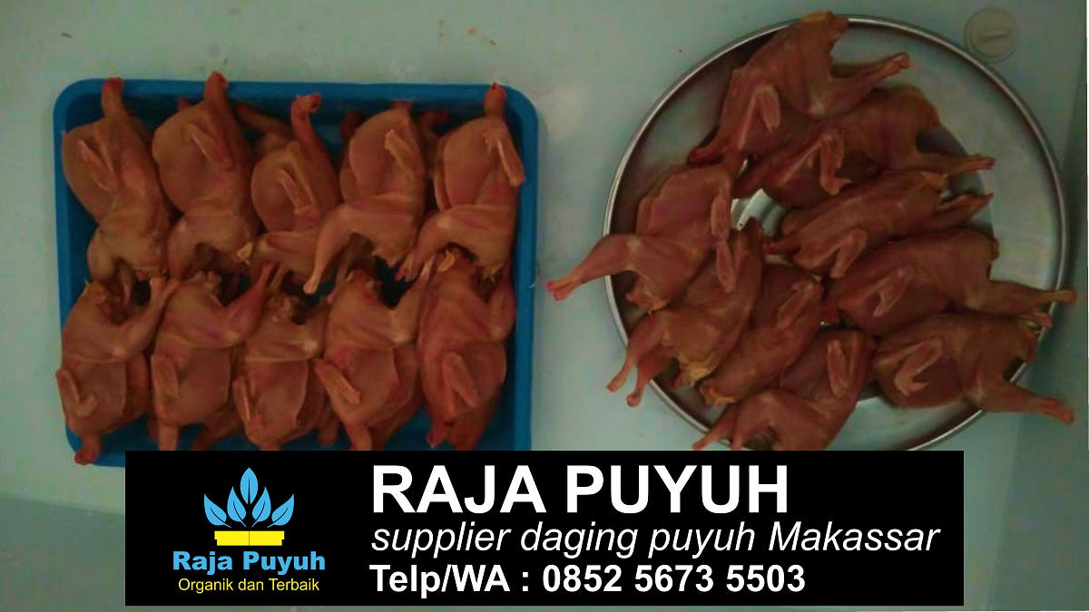 Jual Daging Puyuh Afkir Makassar 0852 5673 5503 | by Raja Puyuh | Medium