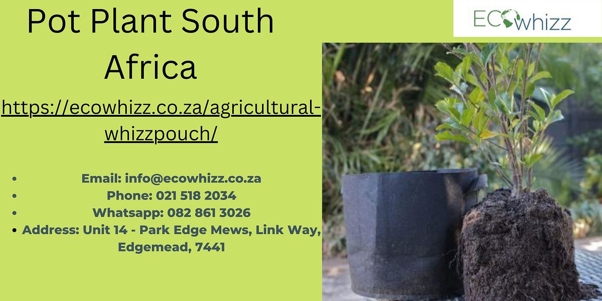 Buy Sell Online Pot Plant in South Africa The health and development of