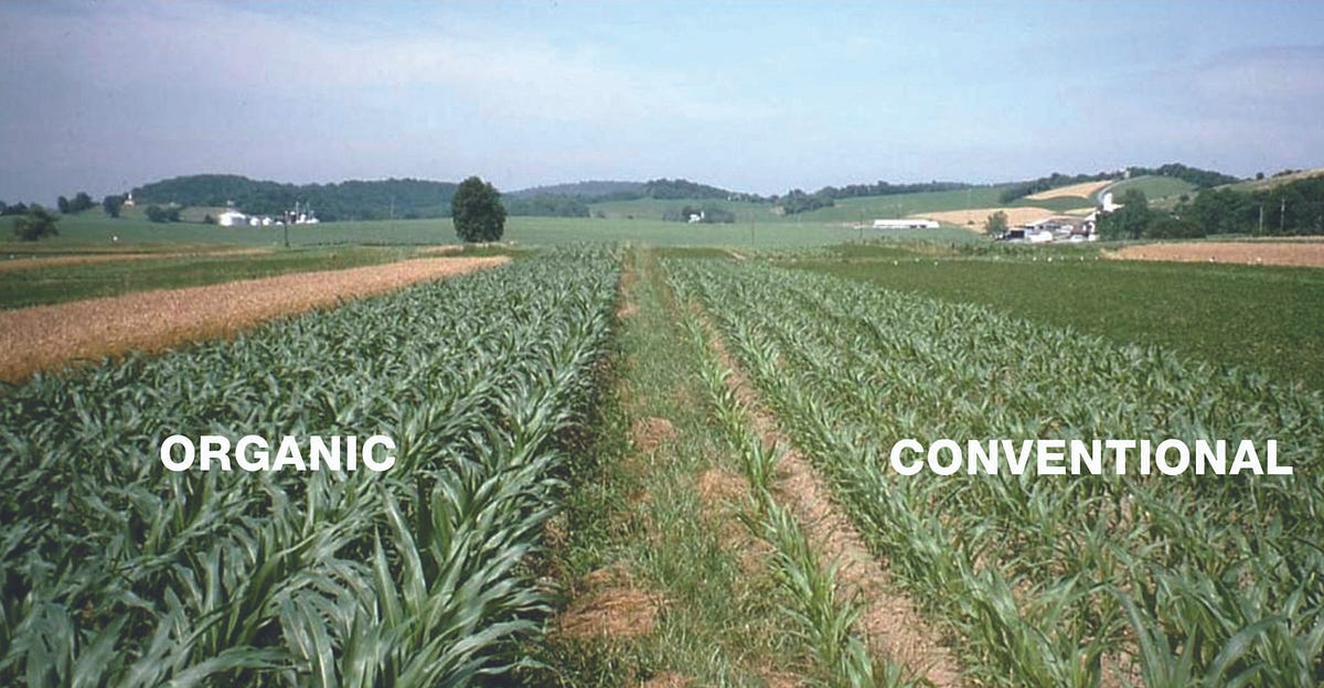 Organic Farming vs Conventional Farming | by Tractorkarvan | Medium