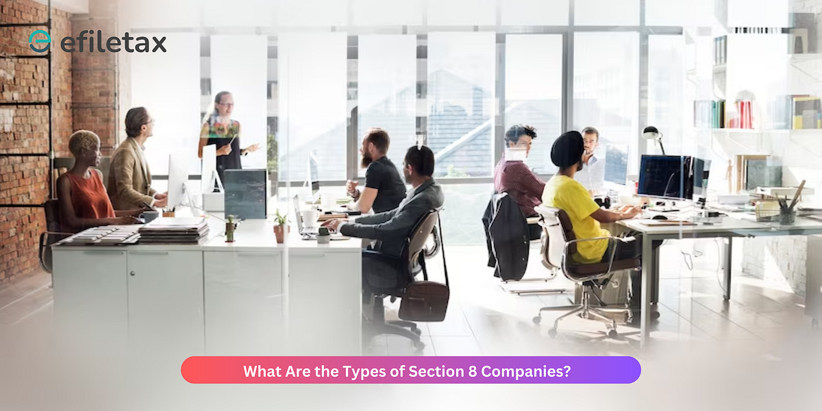 What Are the Types of Section 8 Companies? by Efiletax Medium