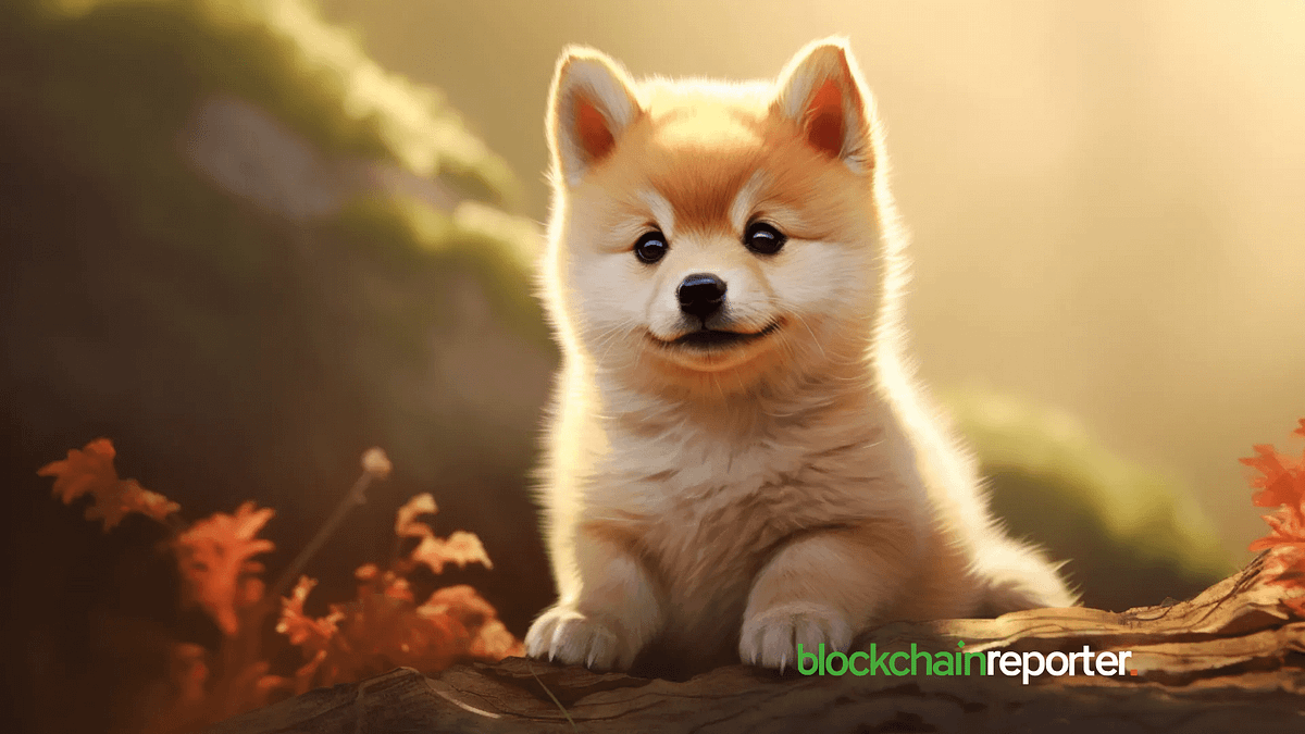 Baby Doge Price Prediction: What Lies Ahead for The Dogecoin Rival? | by  Blockchain Reporter | Medium