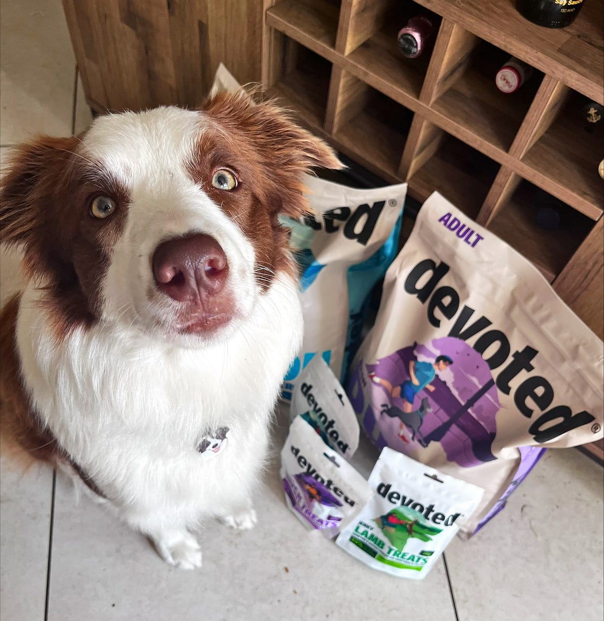 The Devoted Difference Why We’re the Bark of the Town by Devoted Pet