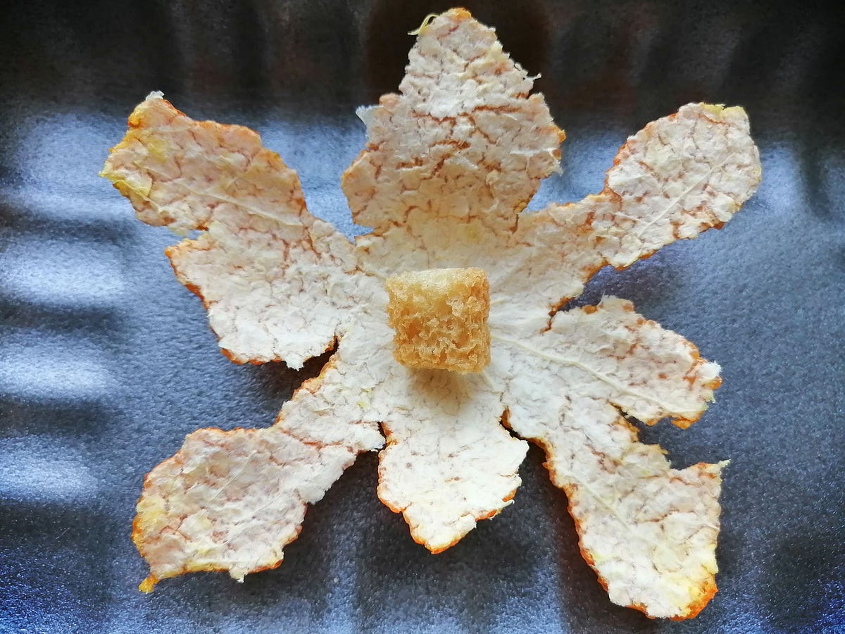 How do I understand rusks.. To understand rusks in their fullness… | by ...