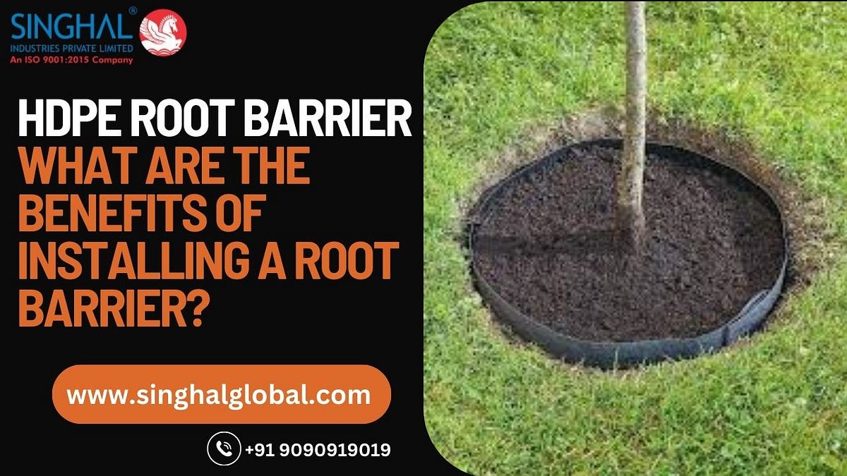 What Are the Benefits of Installing a Root Barrier? by Singal Industries Aug, 2023 Medium
