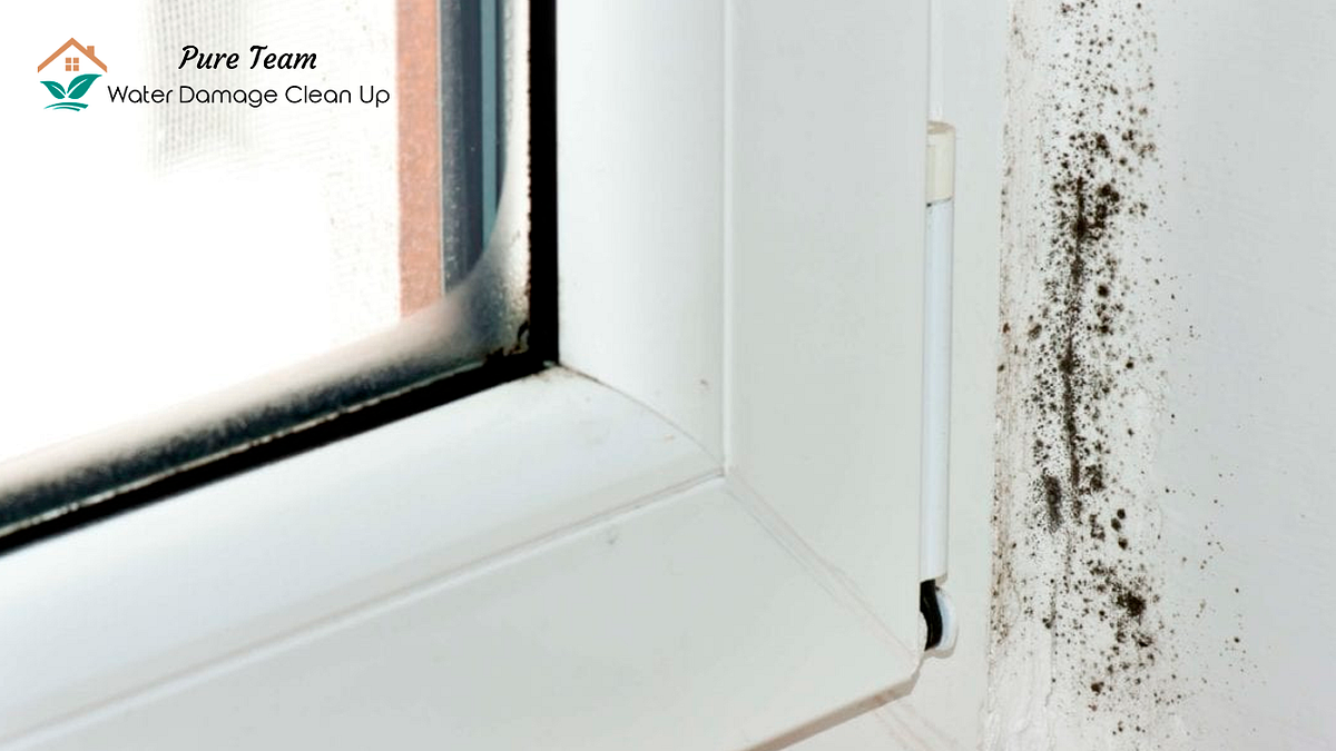 Can Water Damage Cause Mold? Austin Mold Prevention Guide<br/> - TST