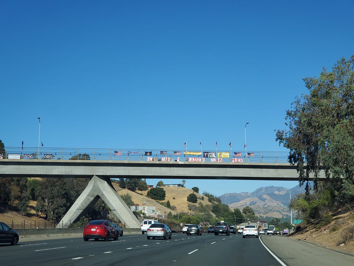 Image of: Anti-vaxxers Take Over Bay Area Overpass