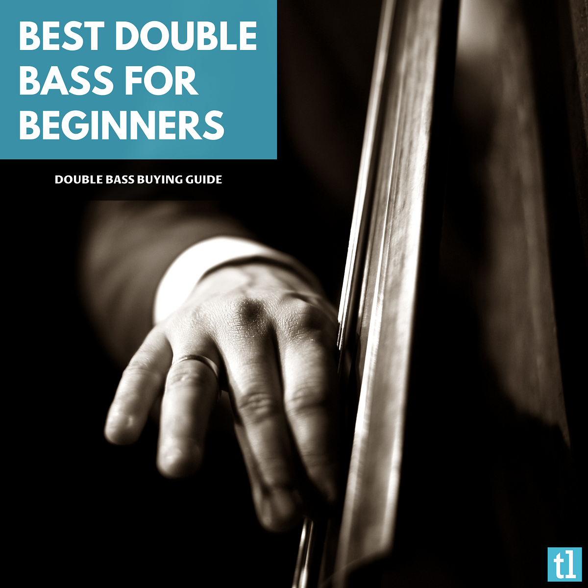 Best Double Bass for Beginners. Double Bass Buying Guide by Ted's