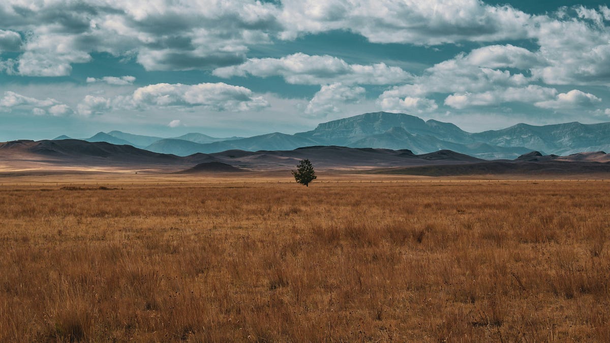 Google launches new Create Aggregate Function for BigQuery | by ... image.