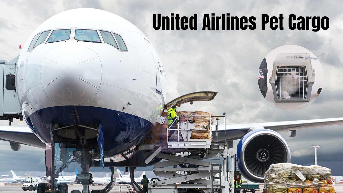 * United Airlines Pet Cargo. United Airlines offers a pet… by flysair
