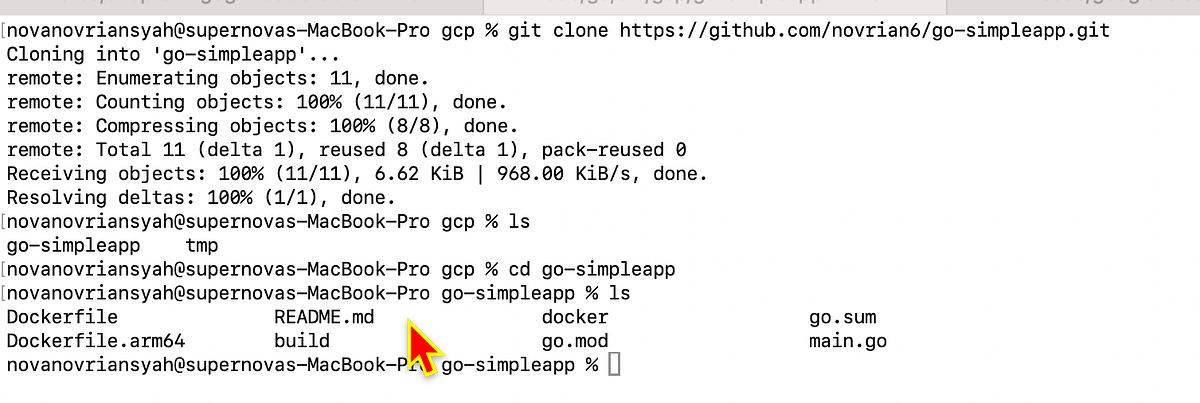 GCP-Docker-Golang: Deploying a Go Application to Google Cloud Container ...