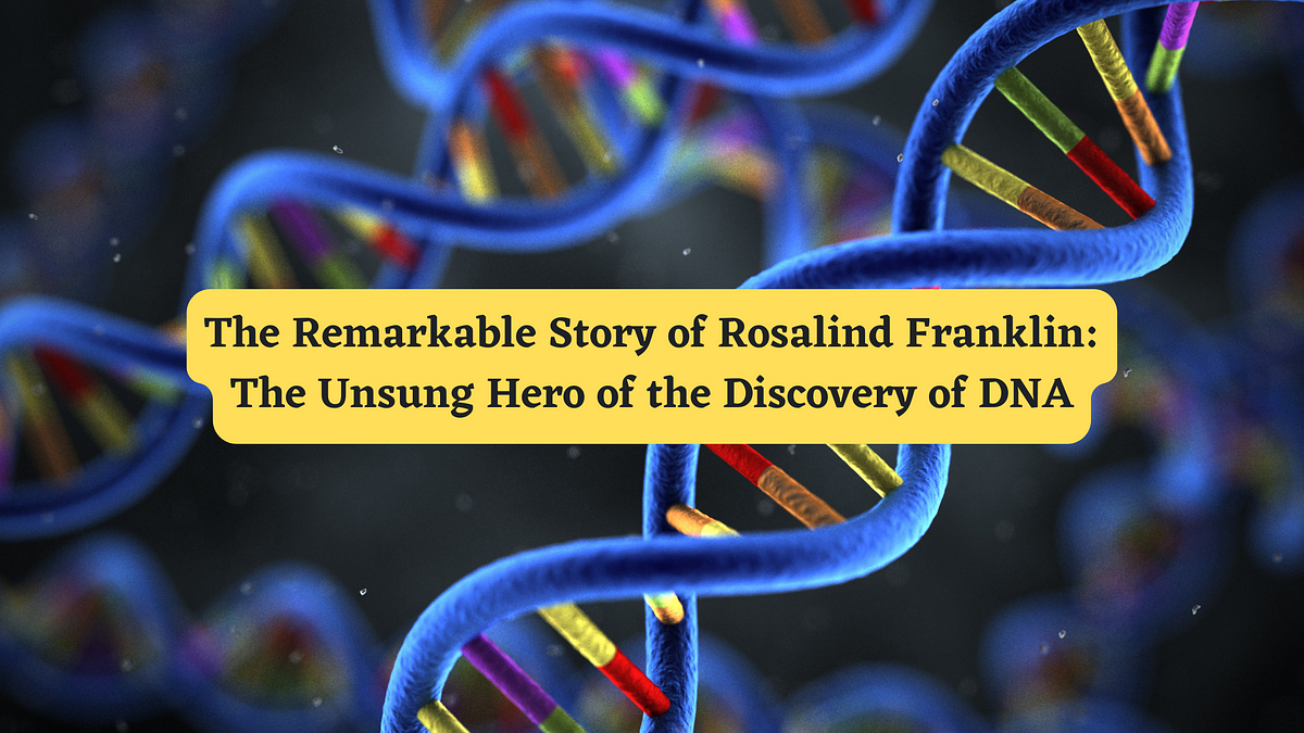 The Remarkable Story Of Rosalind Franklin: The Unsung Hero Of The ...