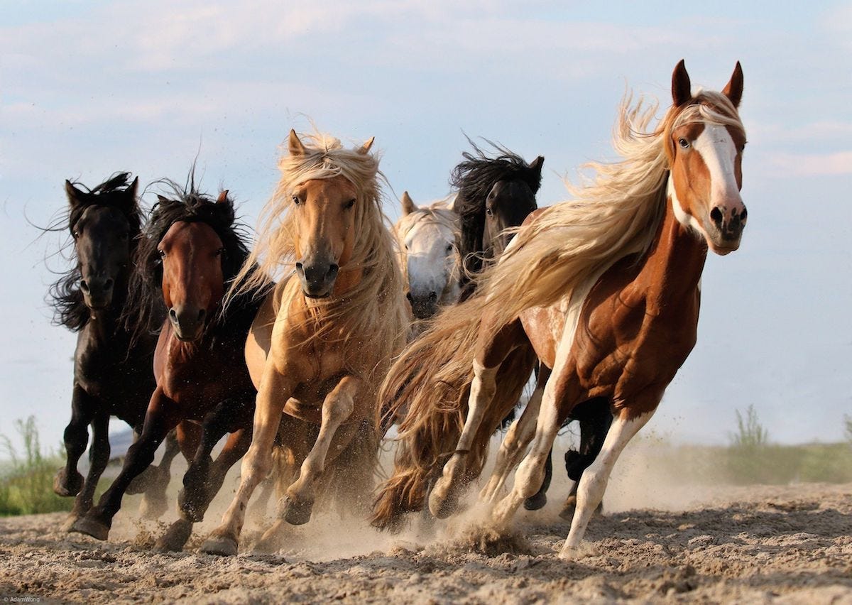 Life Is What Happens When You Are Not on Autopilot by Gustavo