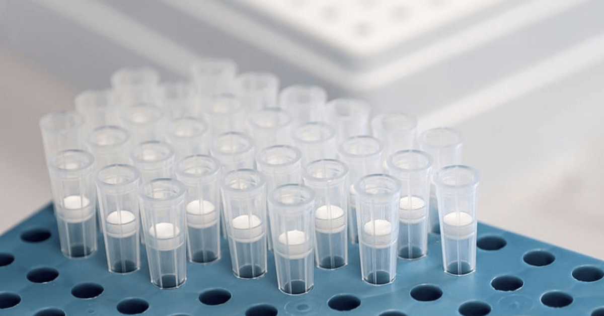 The Significance Of DNA/RNA Extraction Kits by MBP INC Aug, 2023 Medium