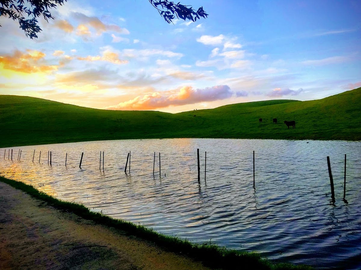 Migrating Stitch Fix’s Core to One ConfigDriven Platform