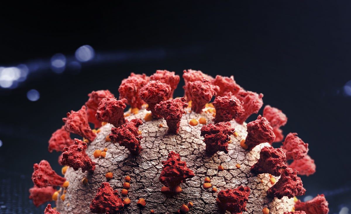 coronavirus.medium.com