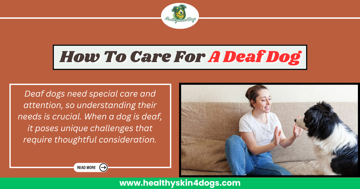Illustration of Nutritional Requirements Of Deaf Dogs