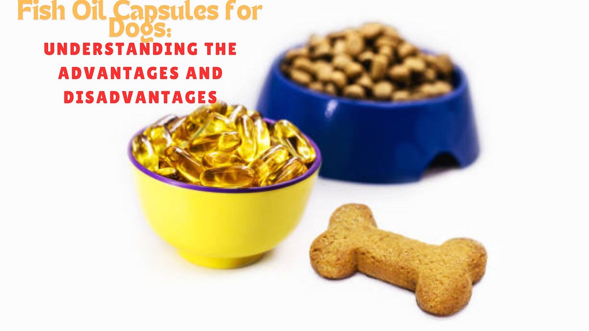 Fish Oil Capsules for Dogs Understanding the Advantages and