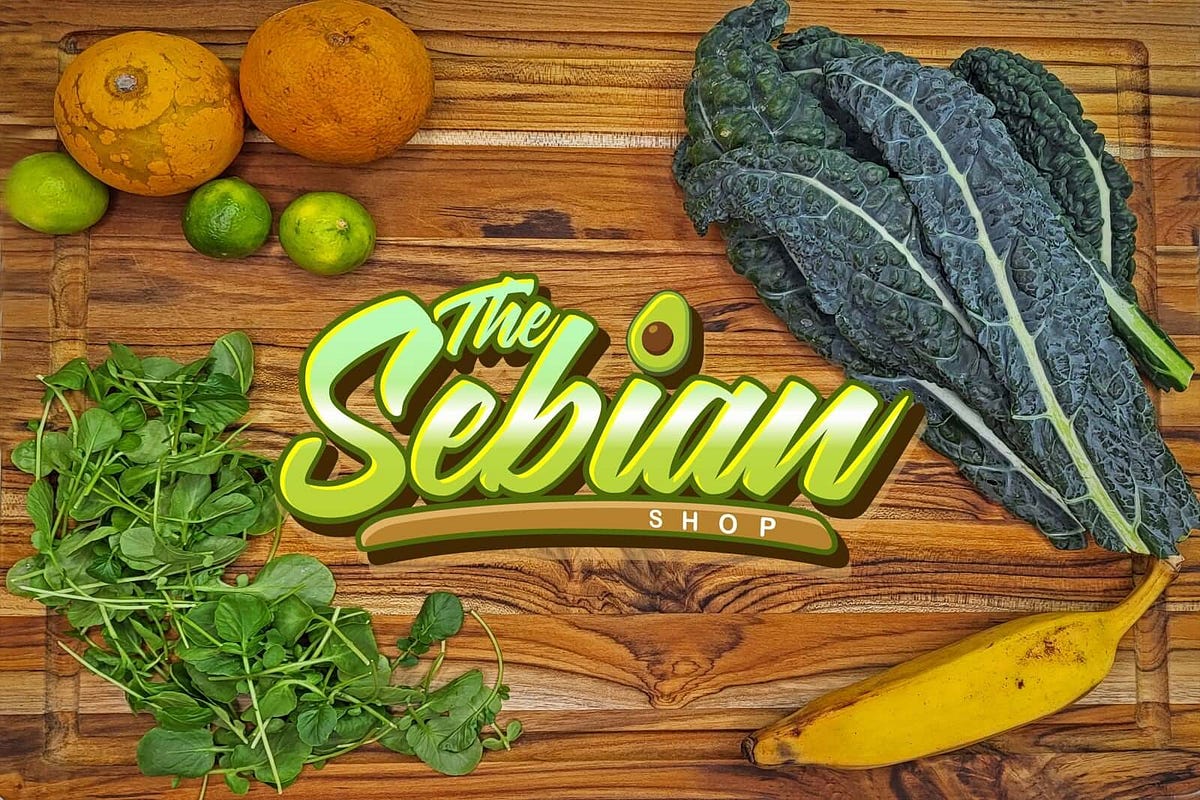 The Power of High Protein Alkaline Foods Comprehensive Guide to Immune Health by The Sebian