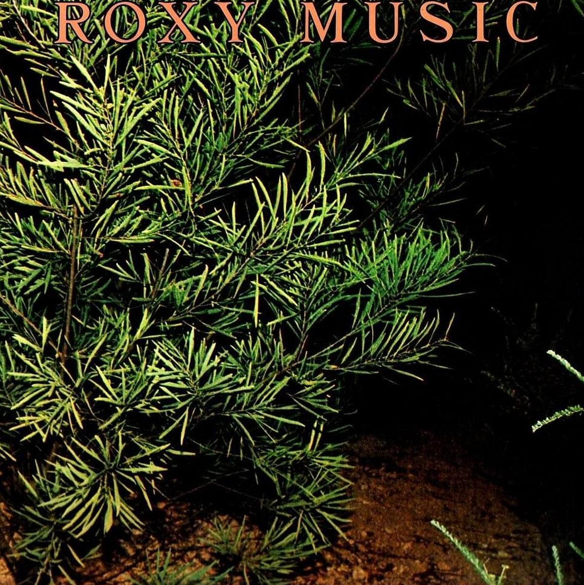 Roxy Music Country Life Vinyl .com ロキシー・ミュージック of