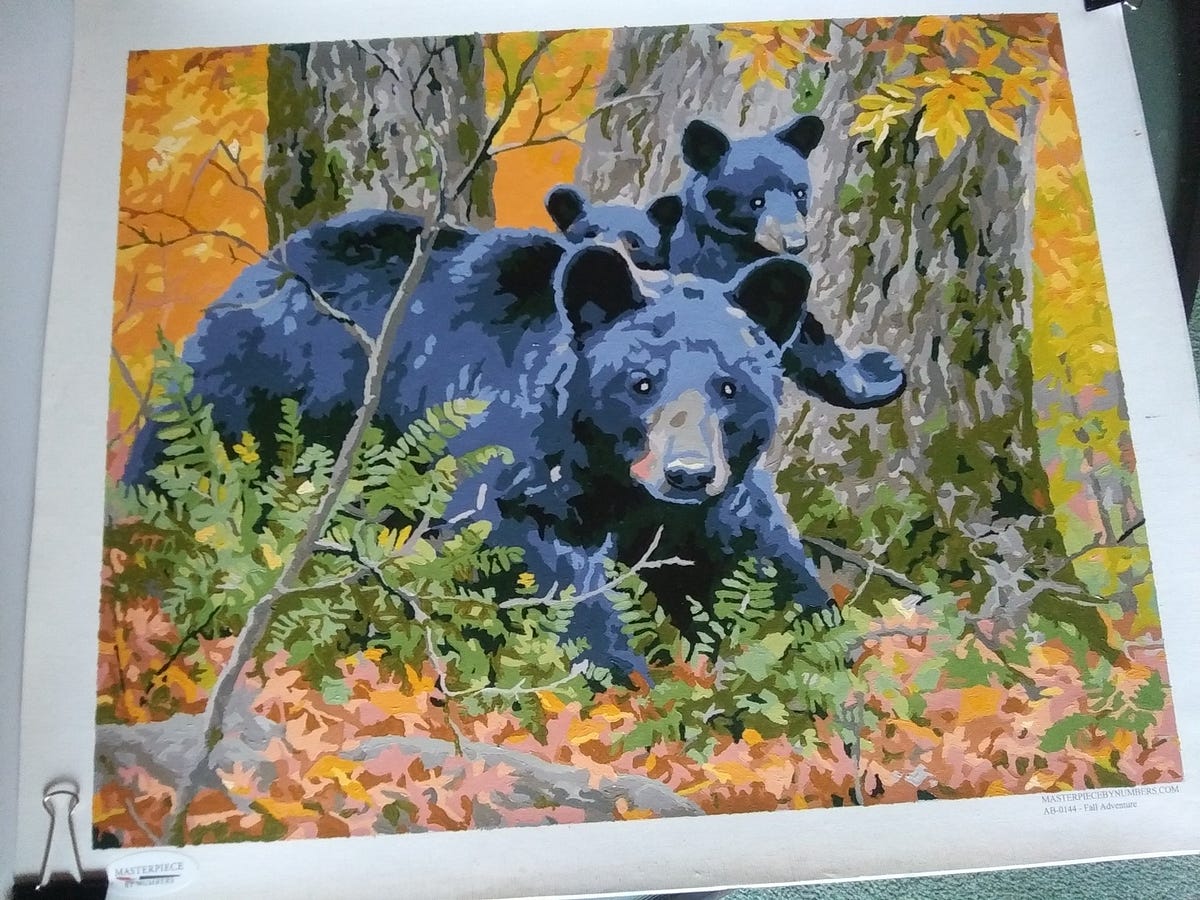 Top 20 Tips for Mastering Your Masterpiece Paint by Numbers Kit by