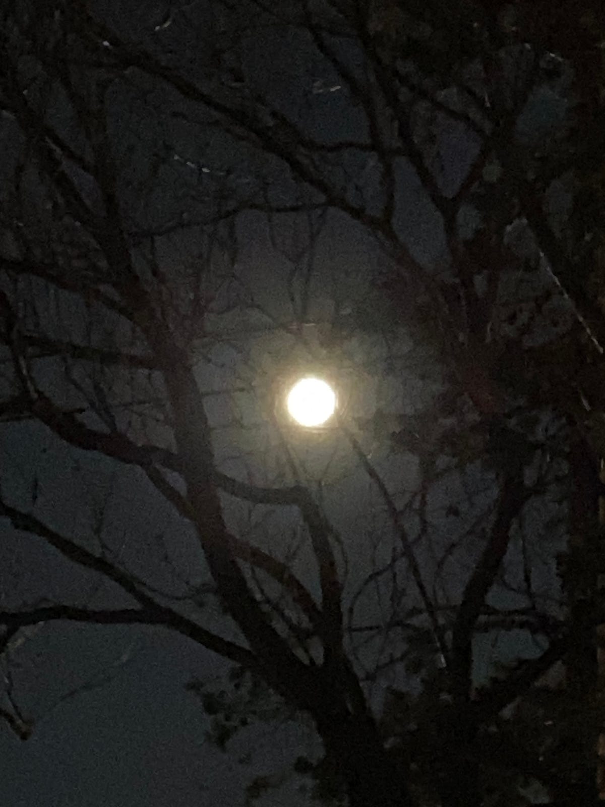 “Your slip is showing.”. A Man With A Secret Problem is a… by ZGALA N is for Nuance Medium