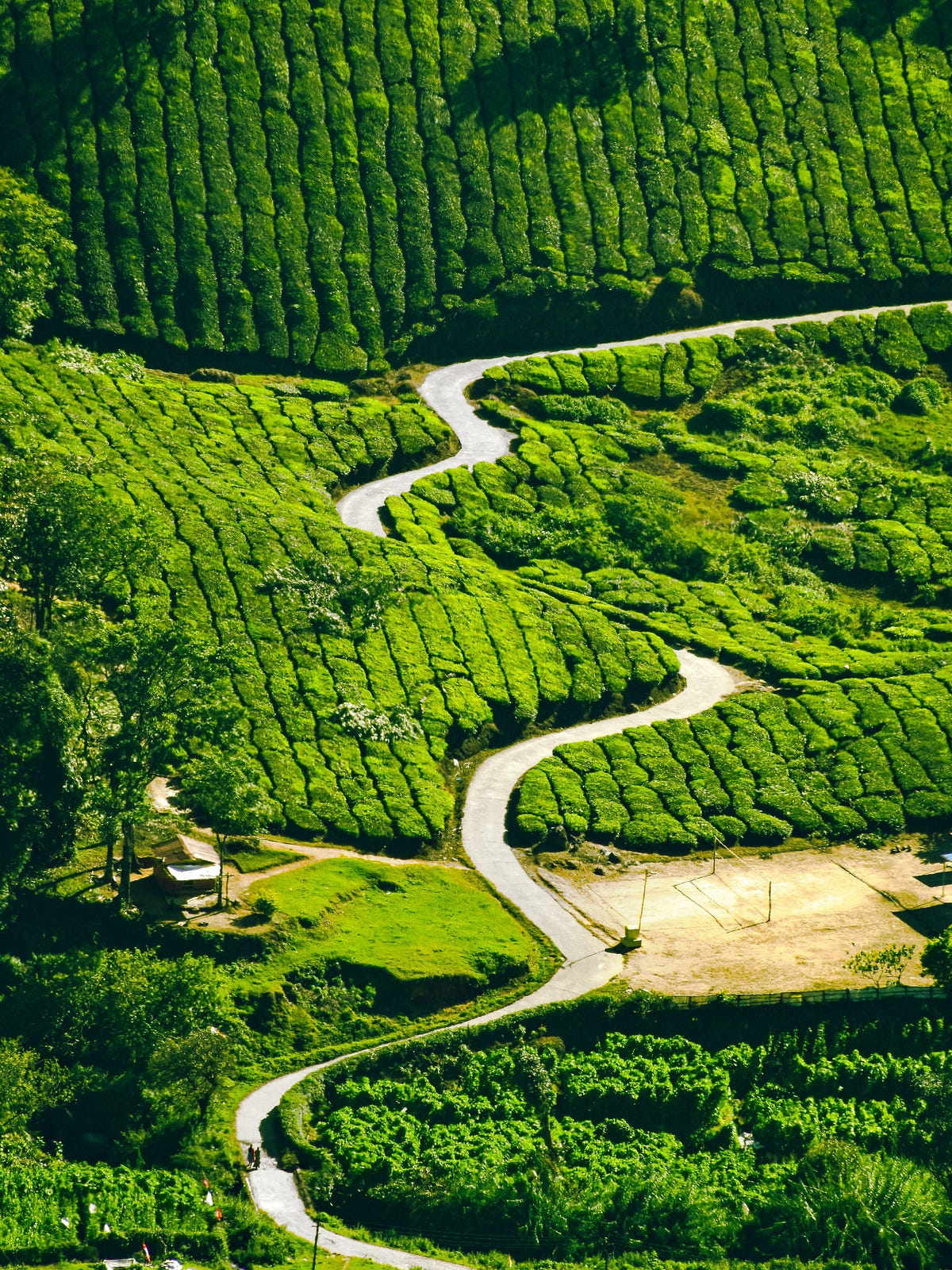 Passive Income Primer -Create a Roadmap for Your Success | by ...
