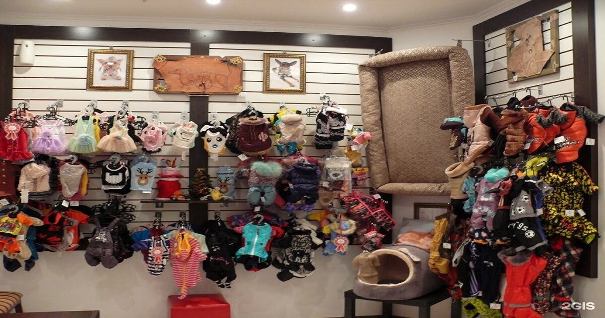 Tips To Remember When Buy Dog Clothes Online in The USA by Red Fluffy