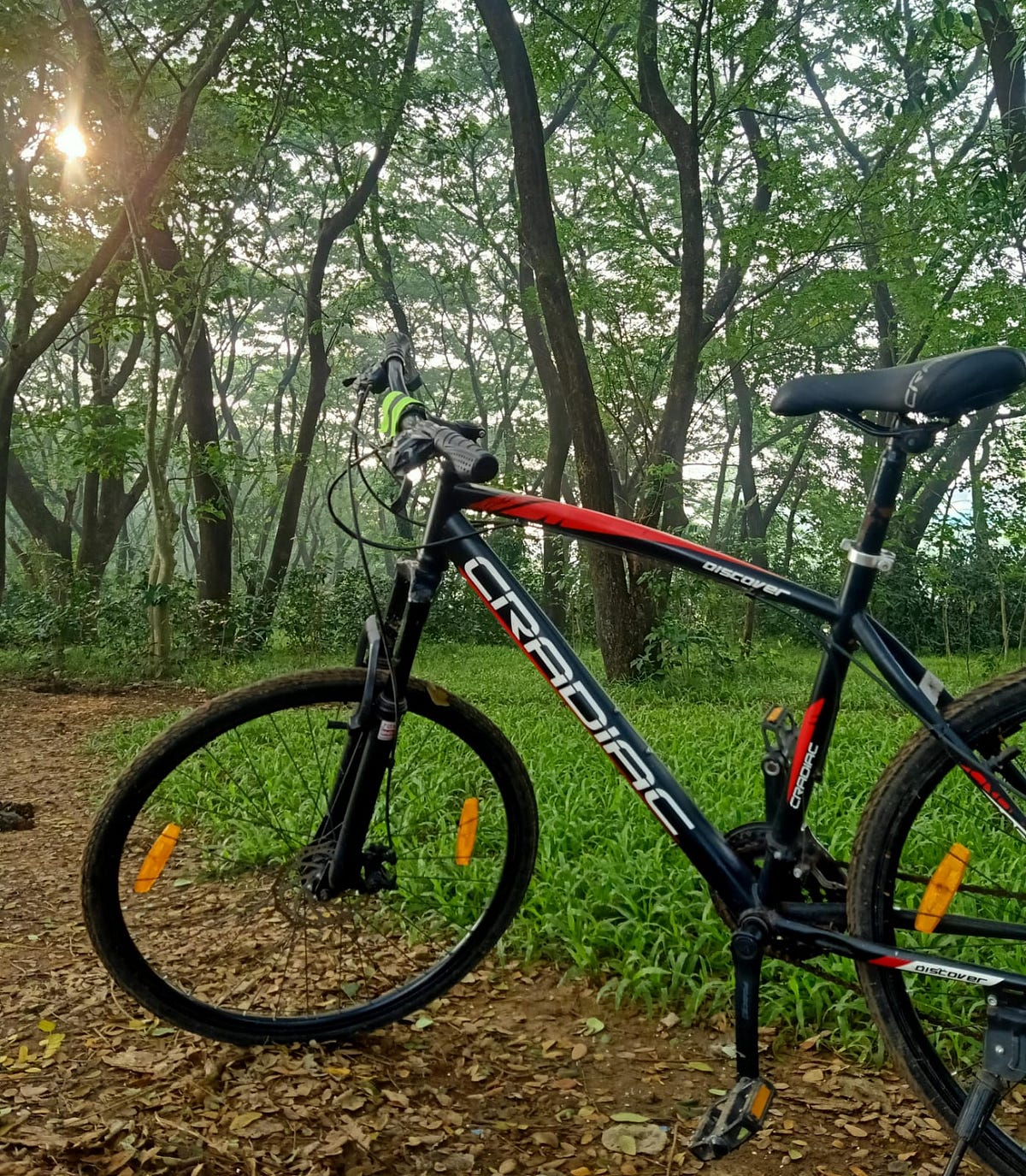 8 Exercises that Help Increase Cycling Speed by Gireesh RG Nov