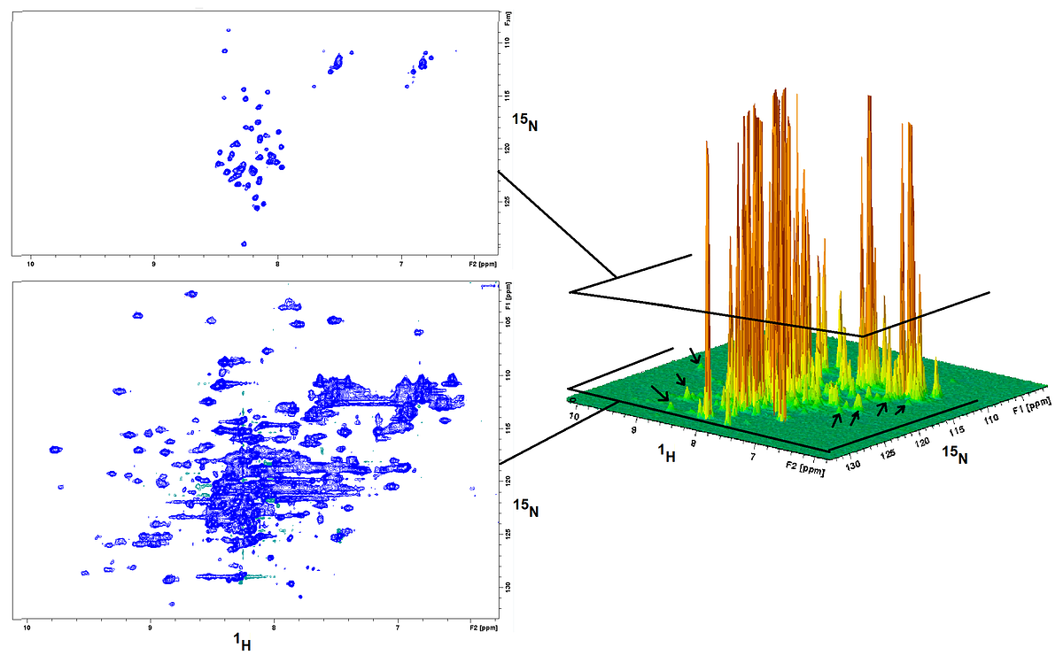 Nuclear Resonance spectroscopy, the overlooked powerhouse of