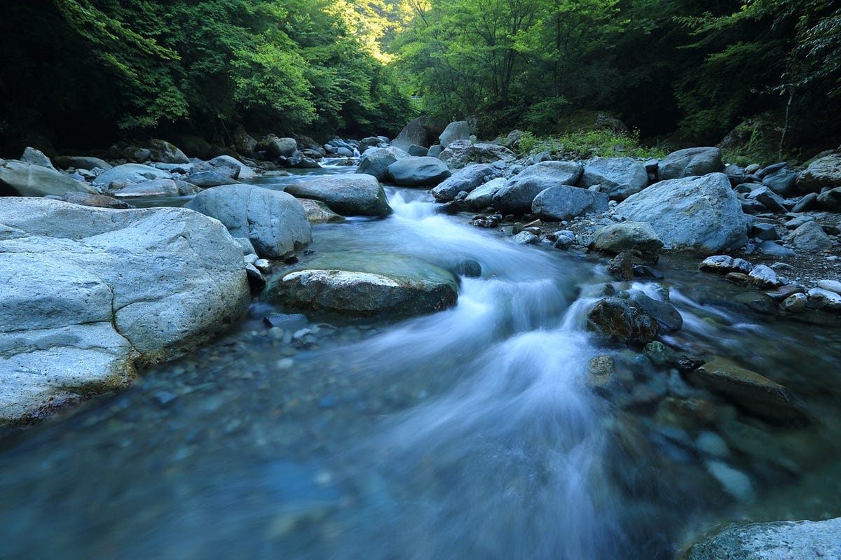 Go with the flow.js 🚀. Static Type checking your JavaScript… | by Luiz ...