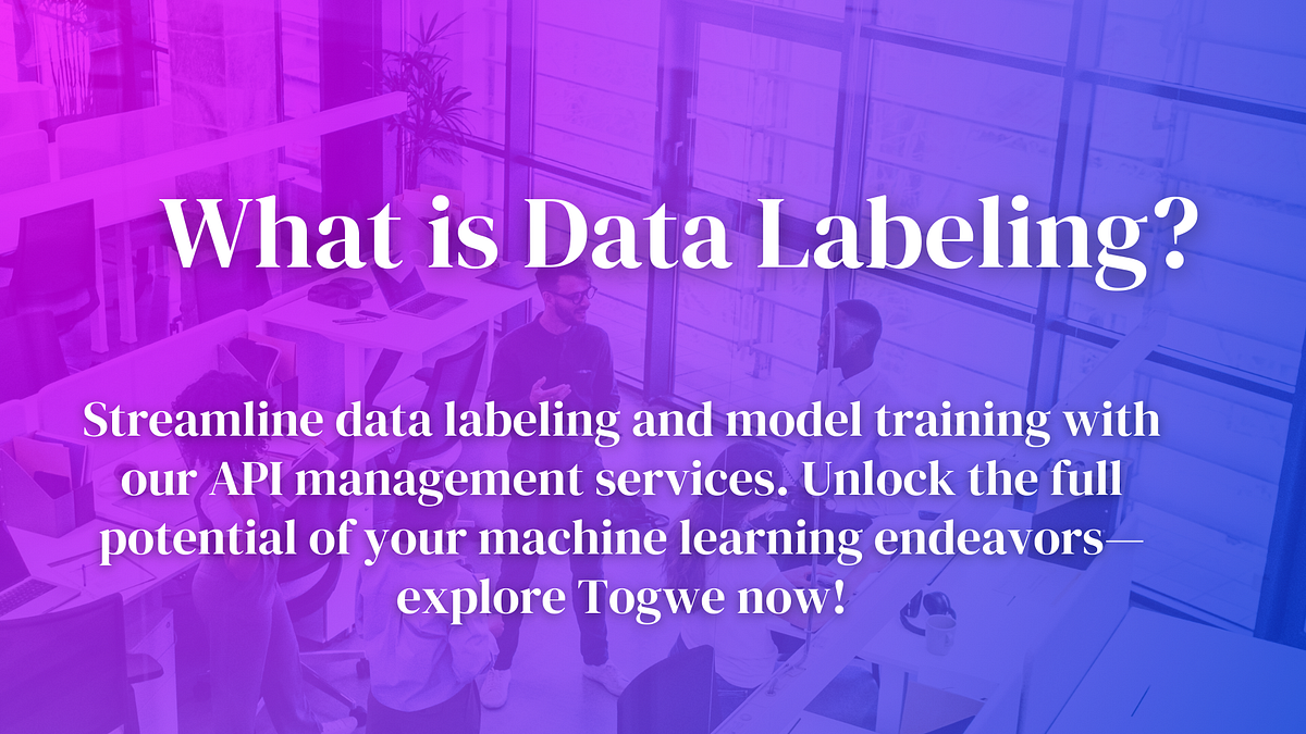 What is Data Labeling?. Data labeling plays a crucial role in… | by ...