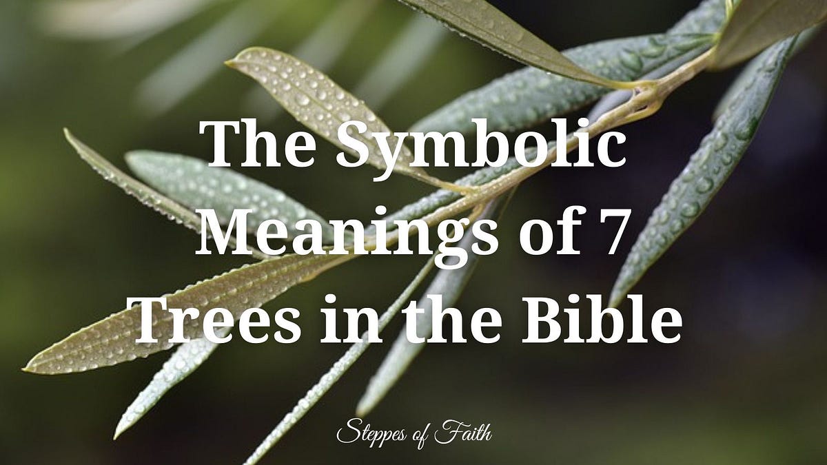 The Symbolic Meanings of 7 Trees in the Bible by Steppes of Faith Medium