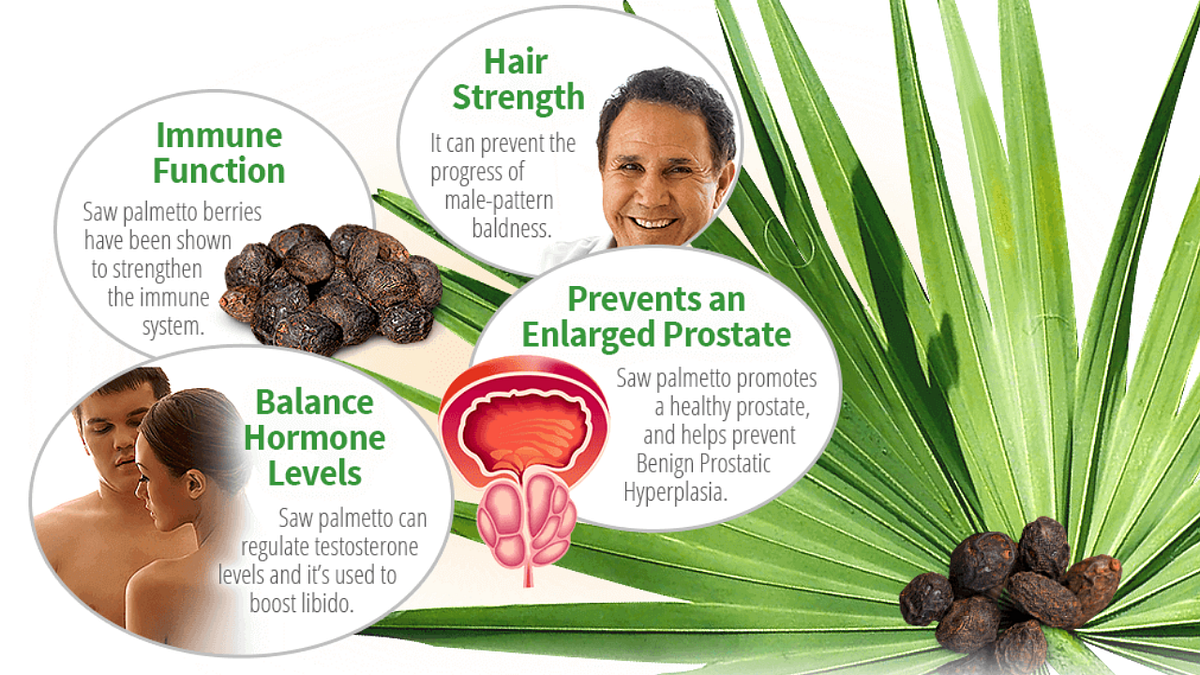 The Powerful Benefits of Saw Palmetto: | by health&beauty | Apr, 2024