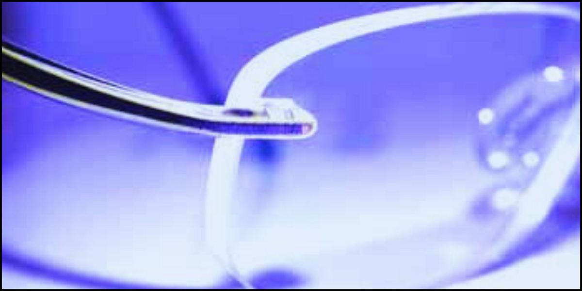 Lens Elevate Your Eyewear Introducing MYRX Lenses for Existing Frames