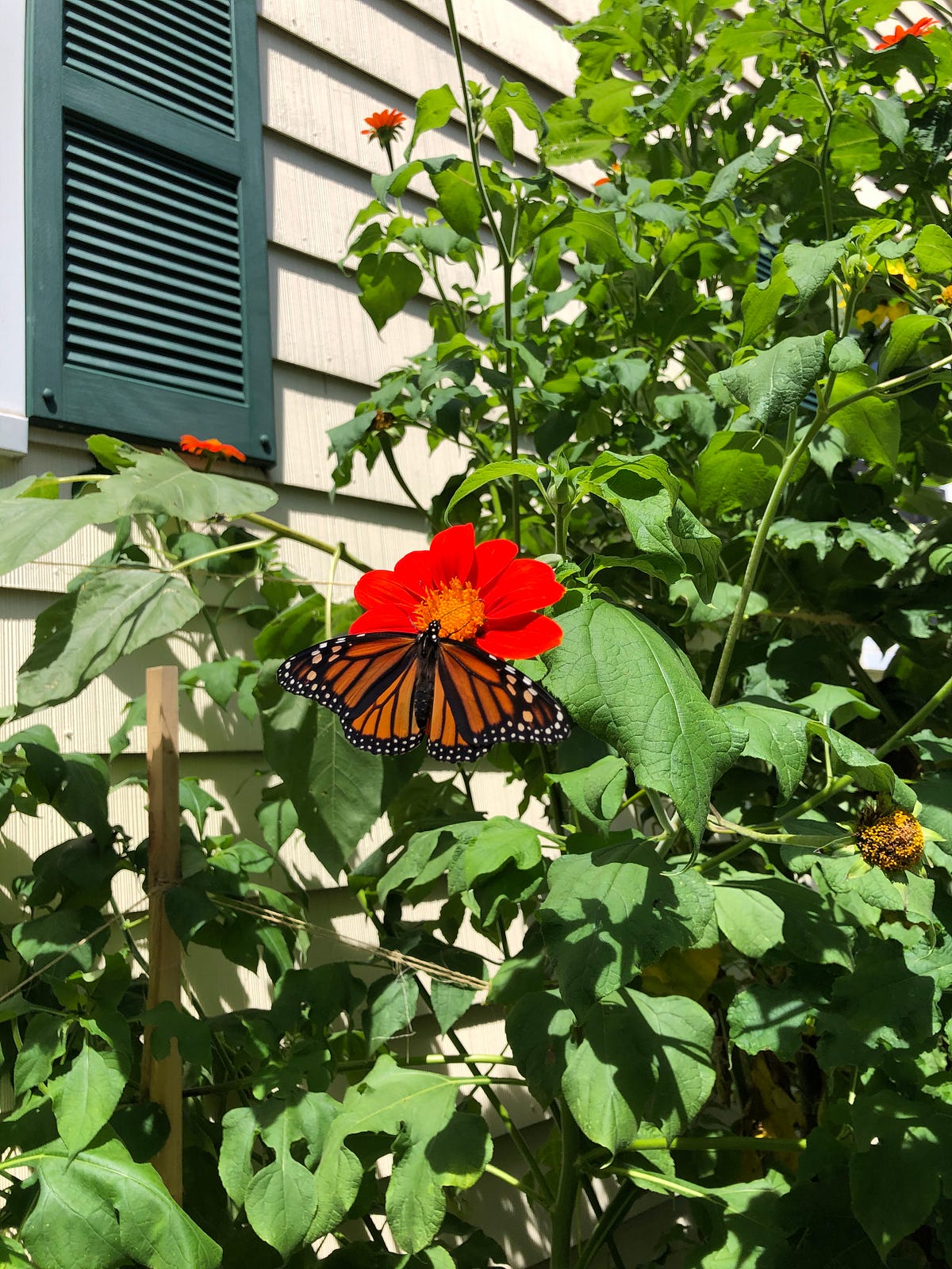 When Does Governor Murphy'S Term Actually End? - 79fnfjy