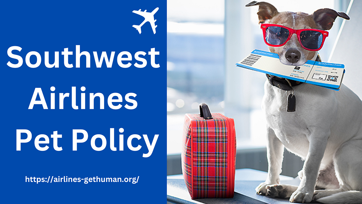 Southwest Pet Policy. As per The Southwest Pet Policy Small… by Jonesrihanna Medium